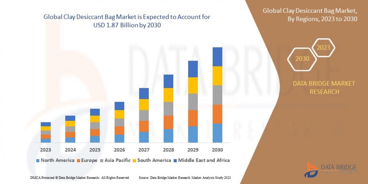 Clay Desiccant Bag Market Size, Share, Trends, Demand, Growth and Competitive Outlook