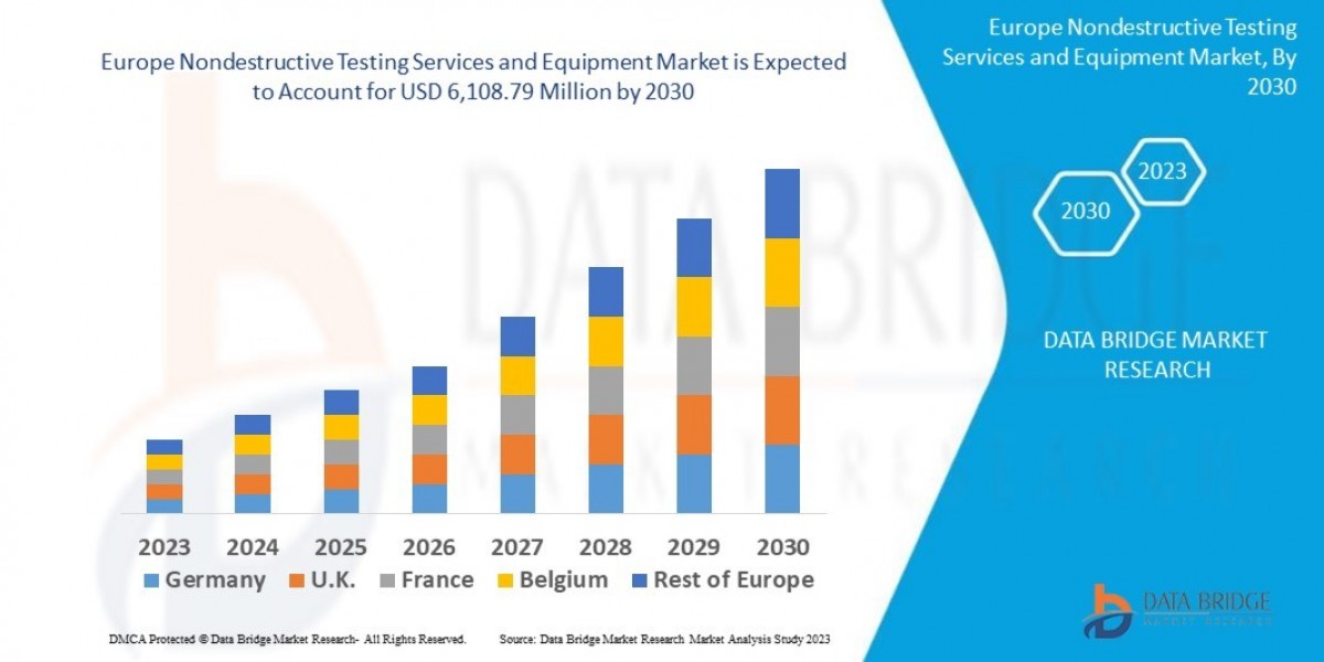 Europe Nondestructive Testing Services and Equipment Market Size, Share, Trends, Key Drivers, Growth and Opportunity Ana