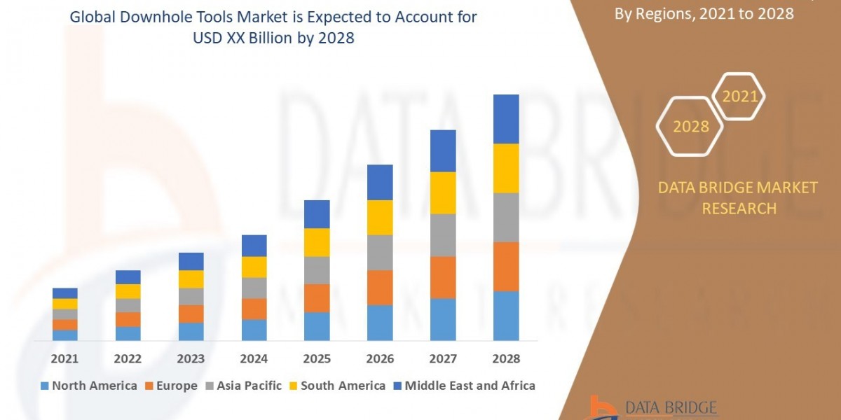 Downhole Tools Market  Size, Share, Trends, Growth Opportunities and Competitive Outlook