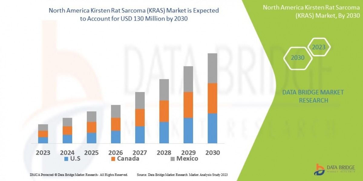 North America Kirsten Rat Sarcoma (KRAS) Market Size, Share, Demand, Rising Trends, Growth and Competitors Analysis