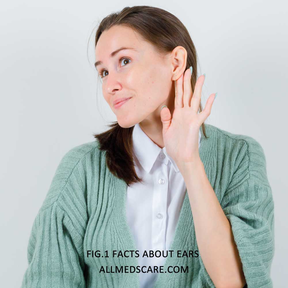 Ears and Sound- Related Facts & Details - Allmedscare.com