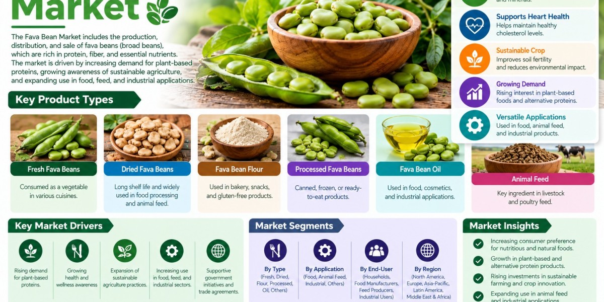 Fava Bean Market Outlook: Exploring New Opportunities in Modern Food
